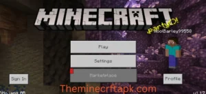 Minecraft Mod Apk 10 tips